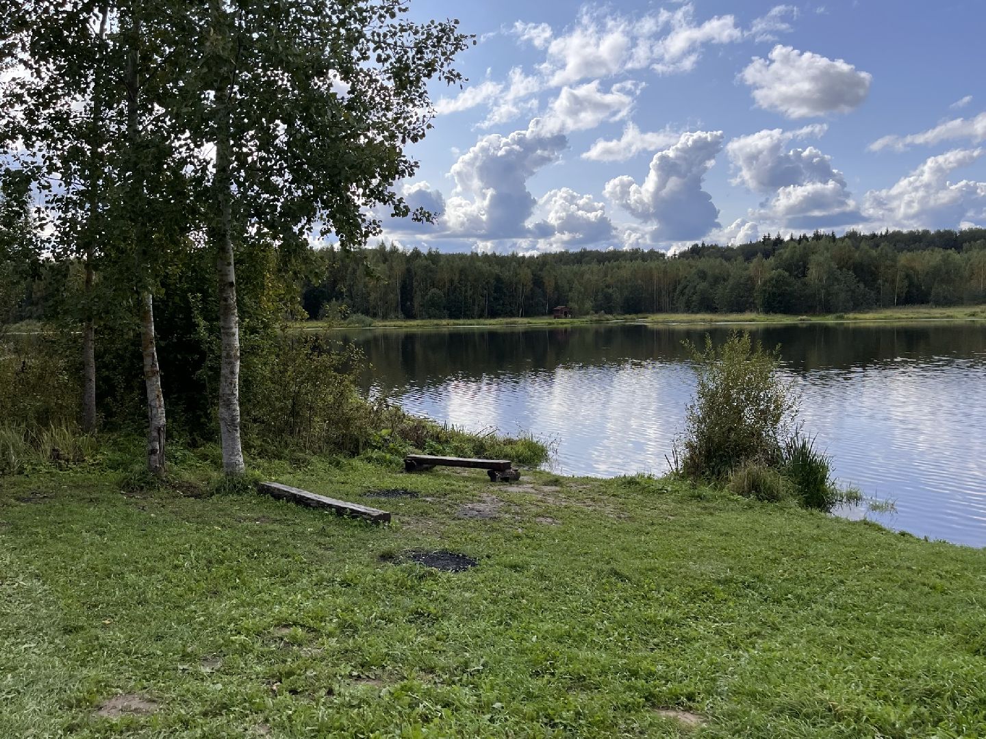 Шаховская, рыбалка, база отдыха