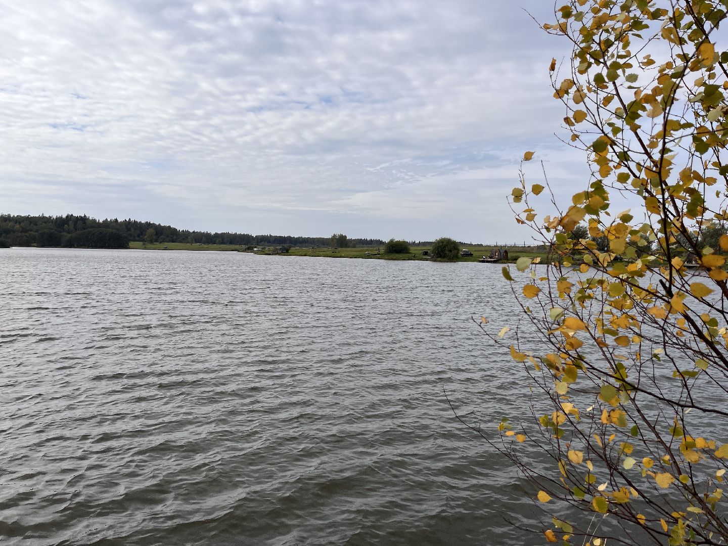 Шаховская, рыбалка, база отдыха