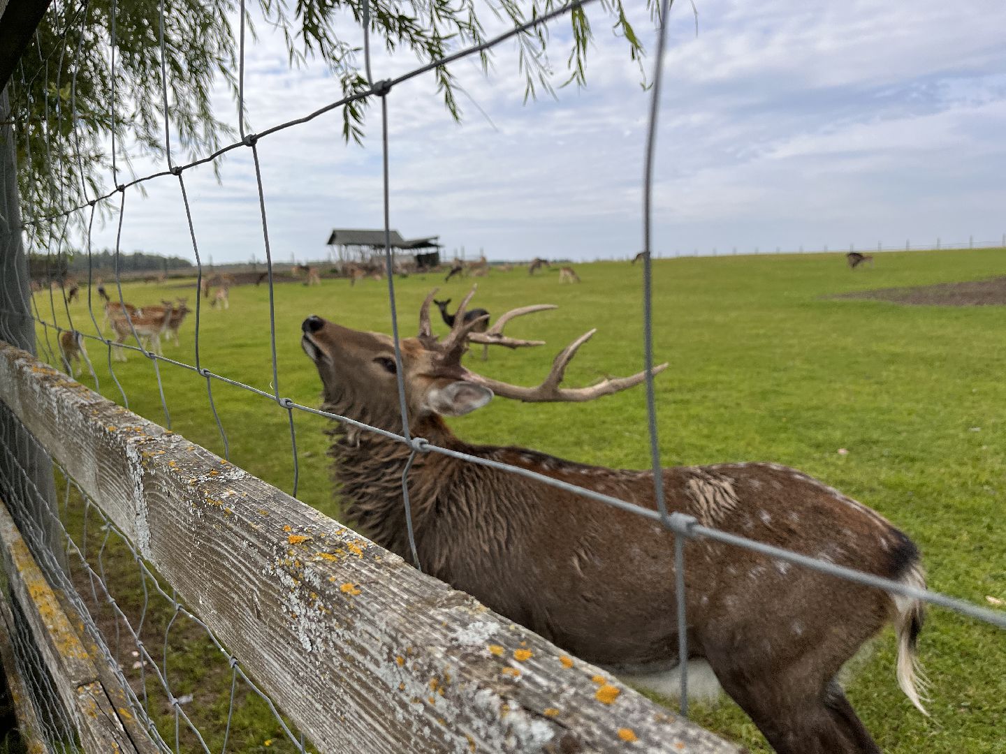 Шаховская, рыбалка, база отдыха