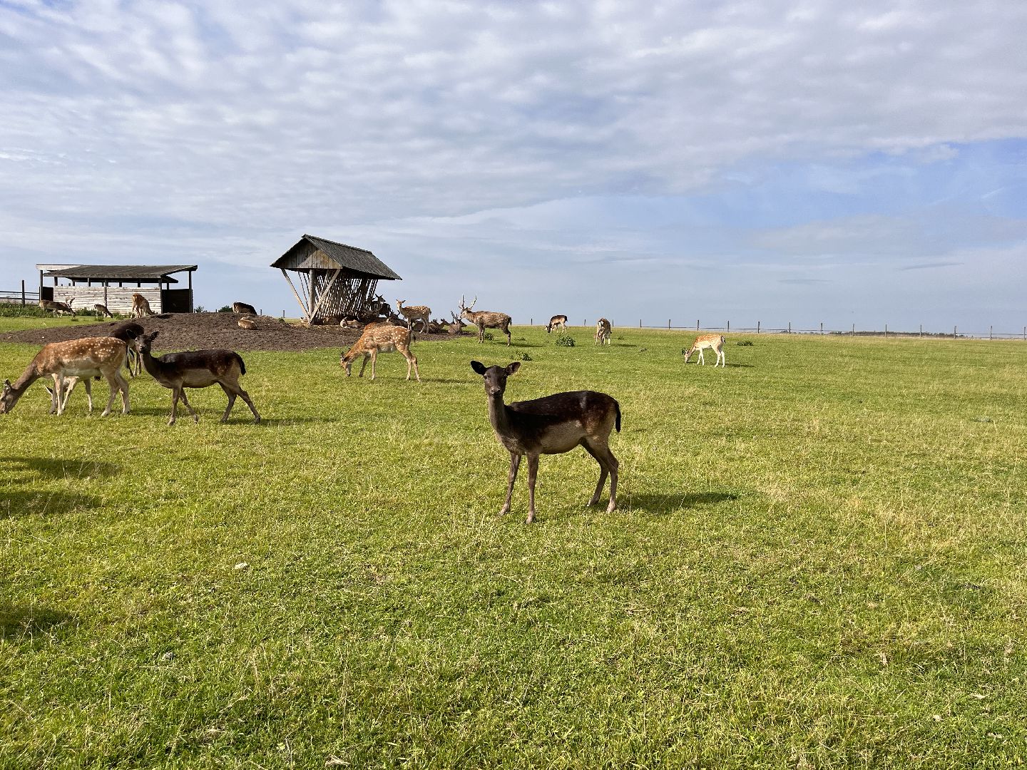 Шаховская, рыбалка, база отдыха