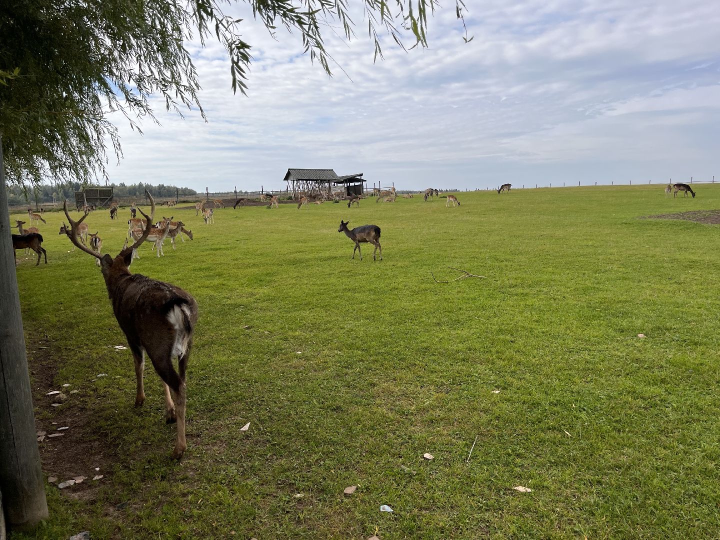 Шаховская, рыбалка, база отдыха
