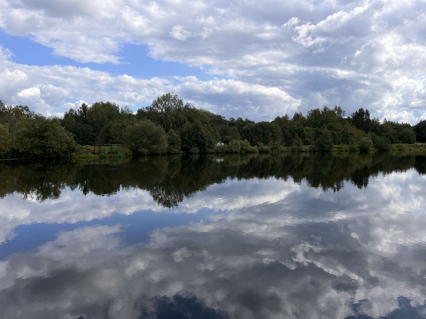 Шаховская, рыбалка, база отдыха