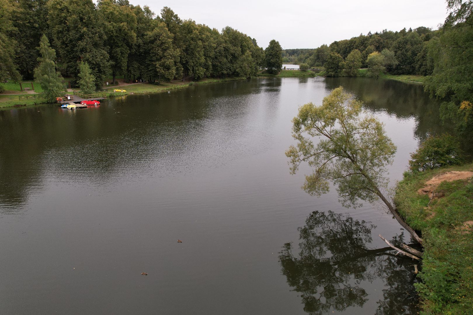 парк, пруды,сергиев посад, видео с коптера,