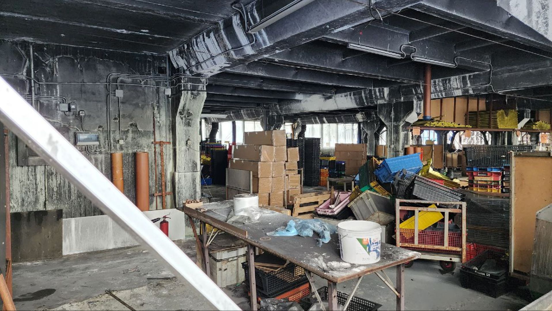 Дмитров, Парк Леко, Синьково