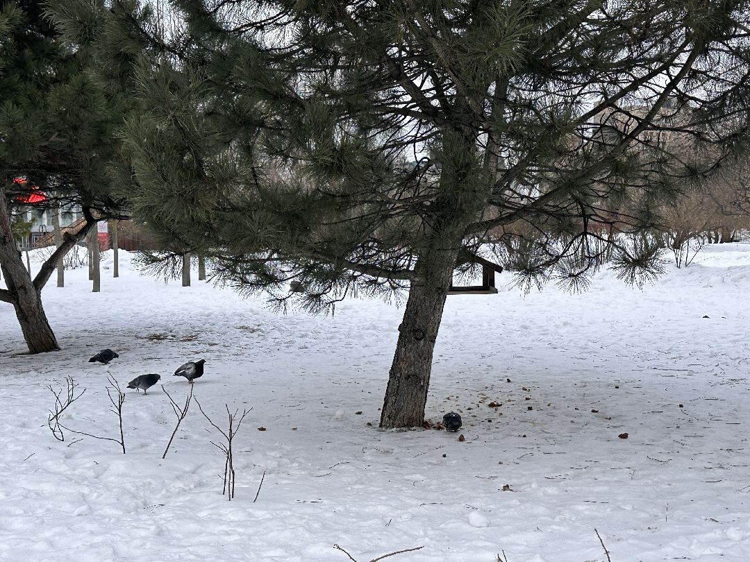 Одинцово, Центральная площадь, Благоустройство, Городская среда, Доступность, Минстрой РФ