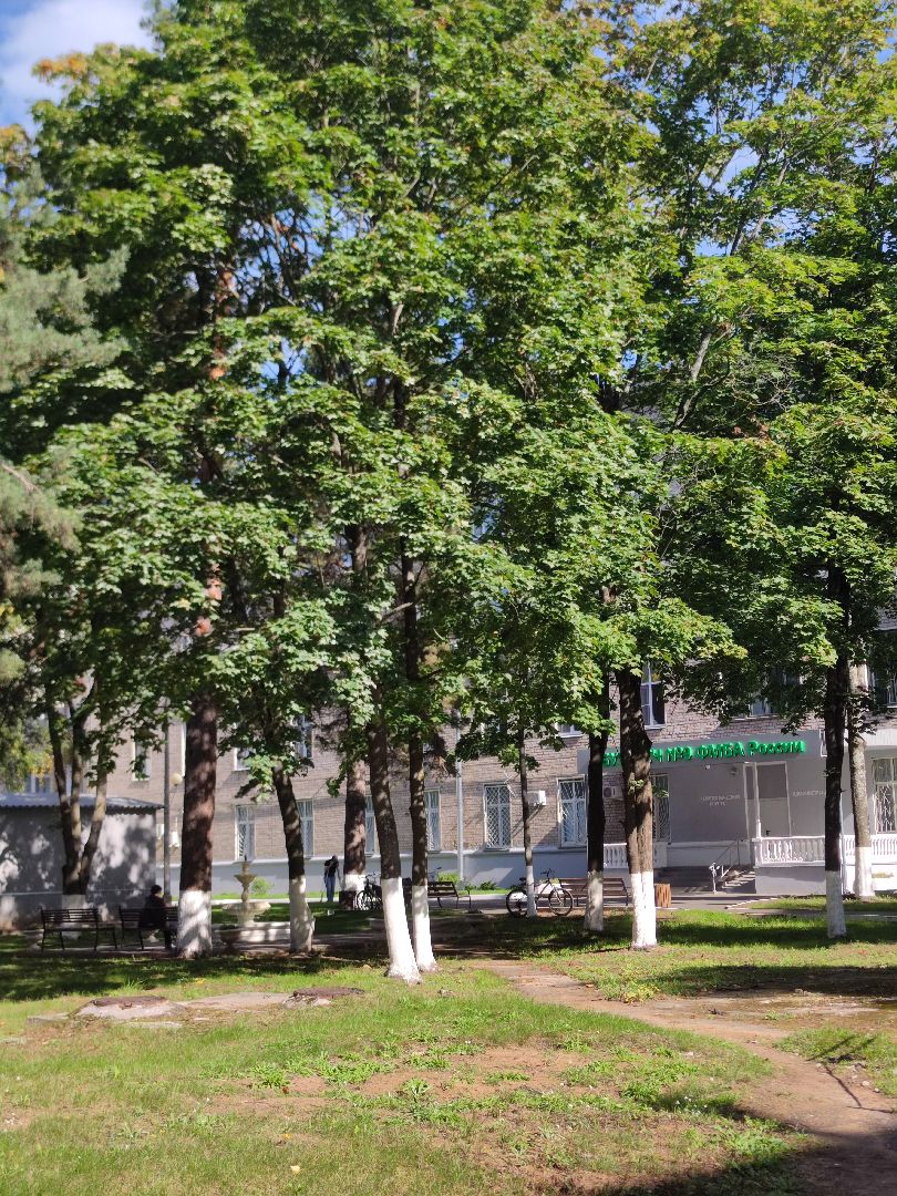 Тромбоз артерий верхних конечностей, флебология, хирург, Дубна