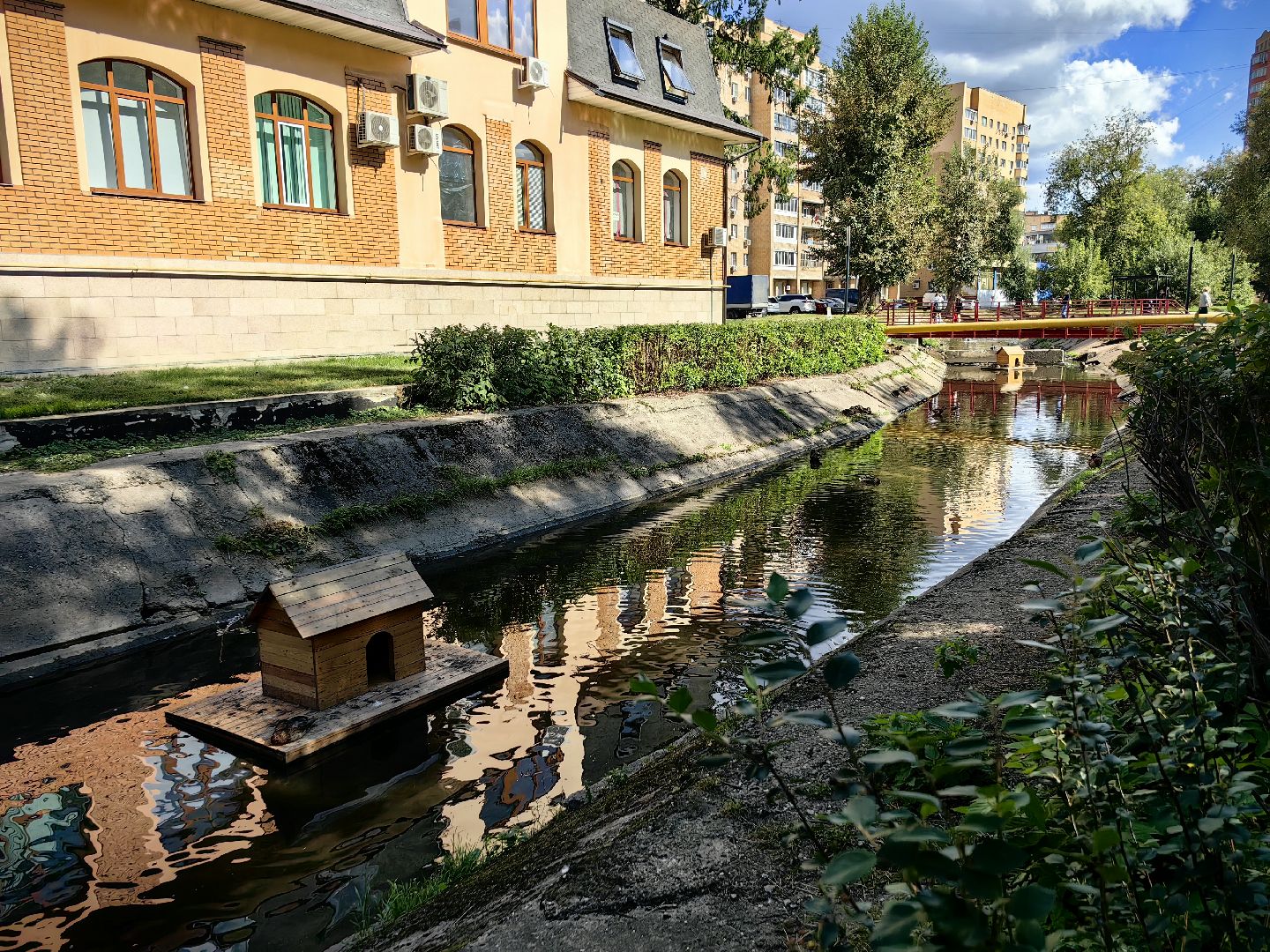 Автомат, корм, утка, птицы, сквер