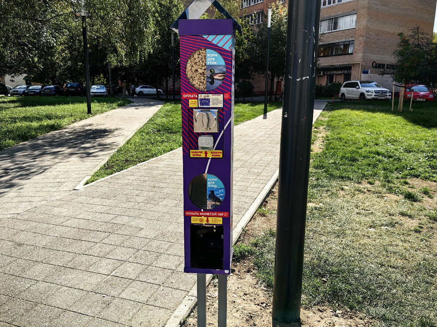 Автомат, корм, утка, птицы, сквер