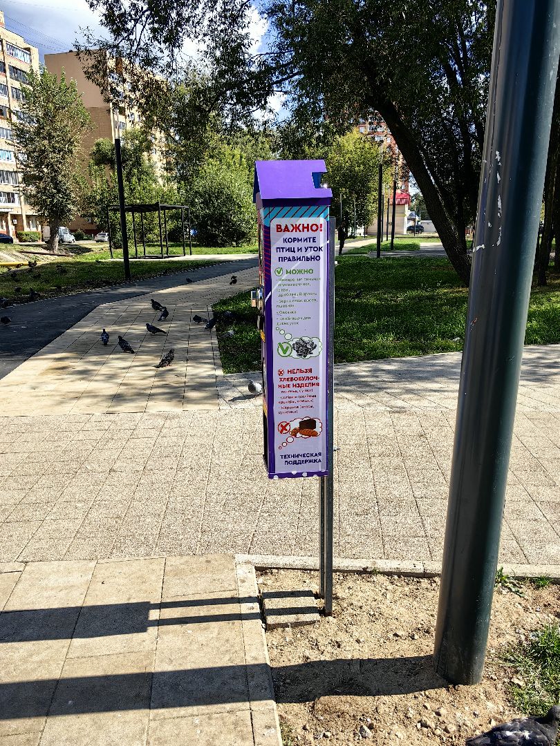 Автомат, корм, утка, птицы, сквер