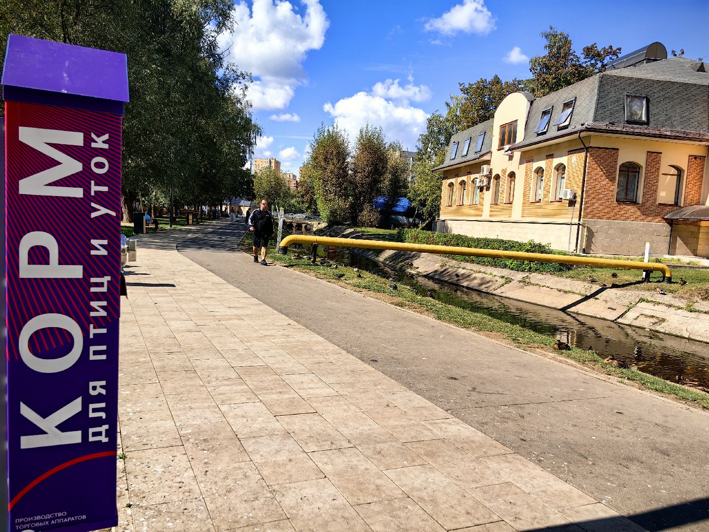 Автомат, корм, утка, птицы, сквер