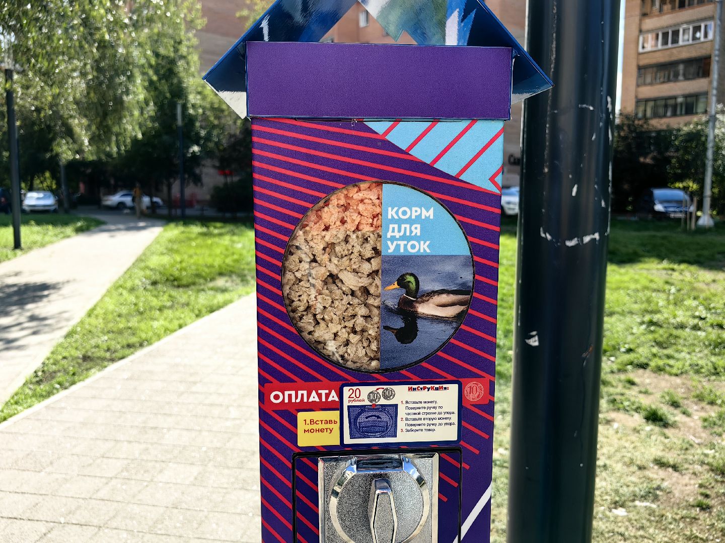 Автомат, корм, утка, птицы, сквер