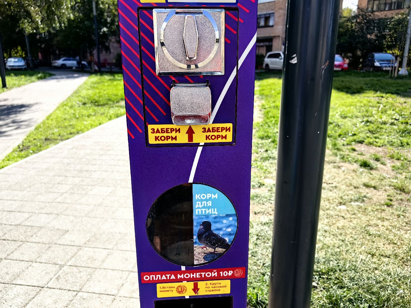 Автомат, корм, утка, птицы, сквер