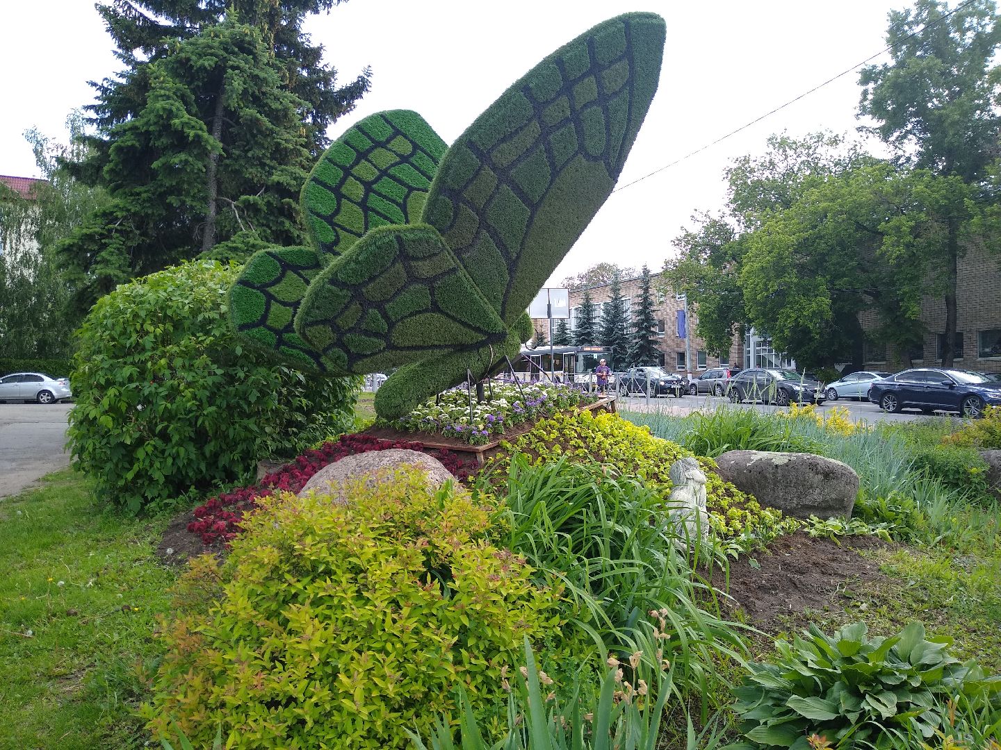 Раменское, благоустройство, топиарные бабочки в Раменском