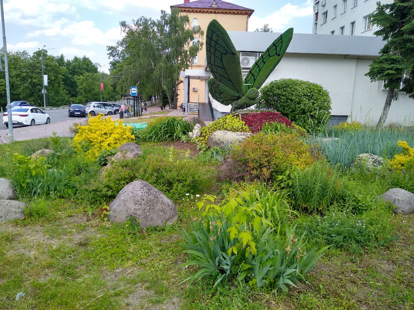 Раменское, благоустройство, топиарные бабочки в Раменском