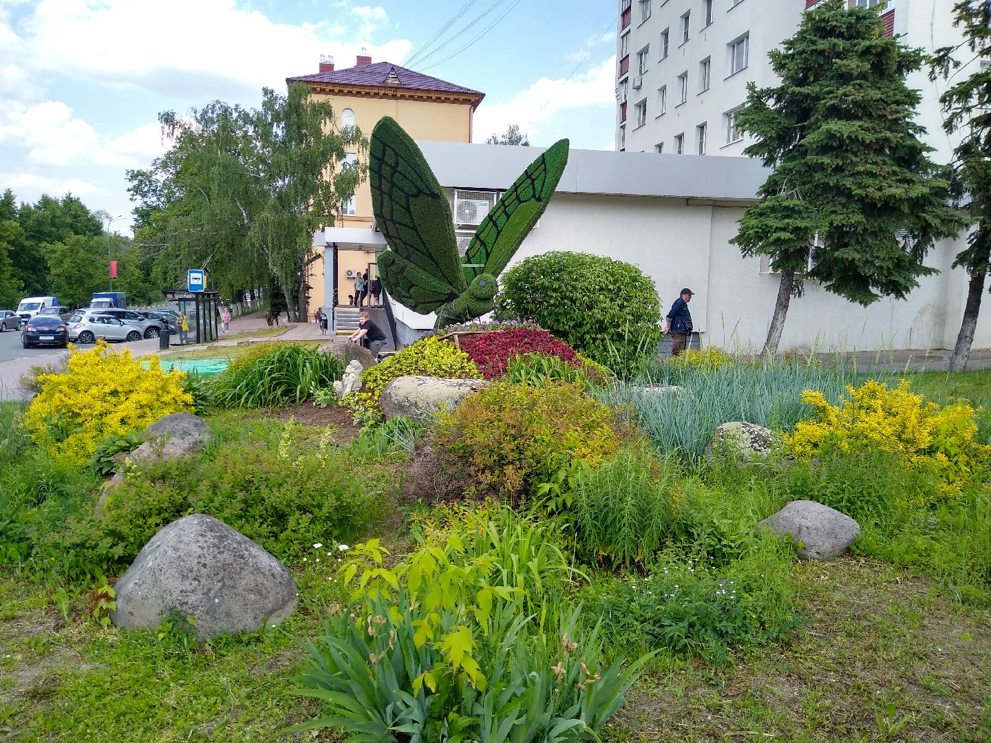 Раменское, благоустройство, топиарные бабочки в Раменском
