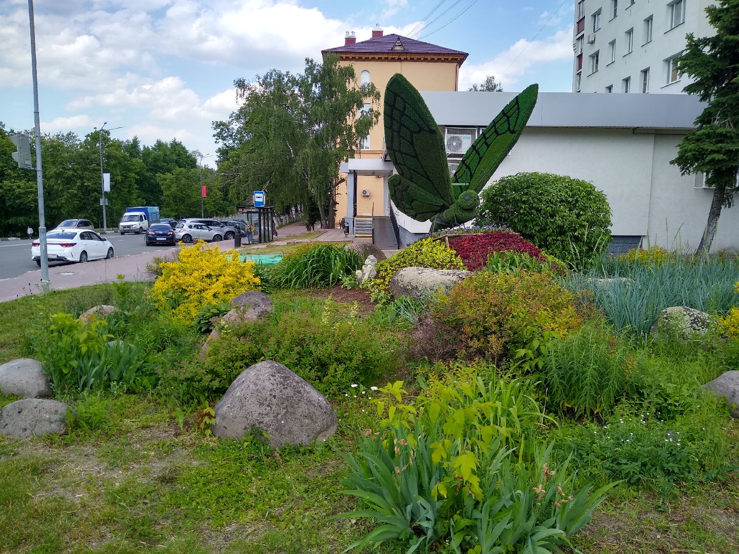Раменское, благоустройство, топиарные бабочки в Раменском