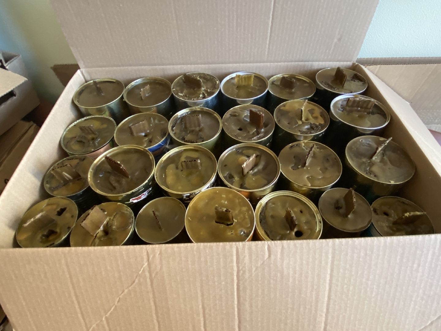 активное долголетие, сво,