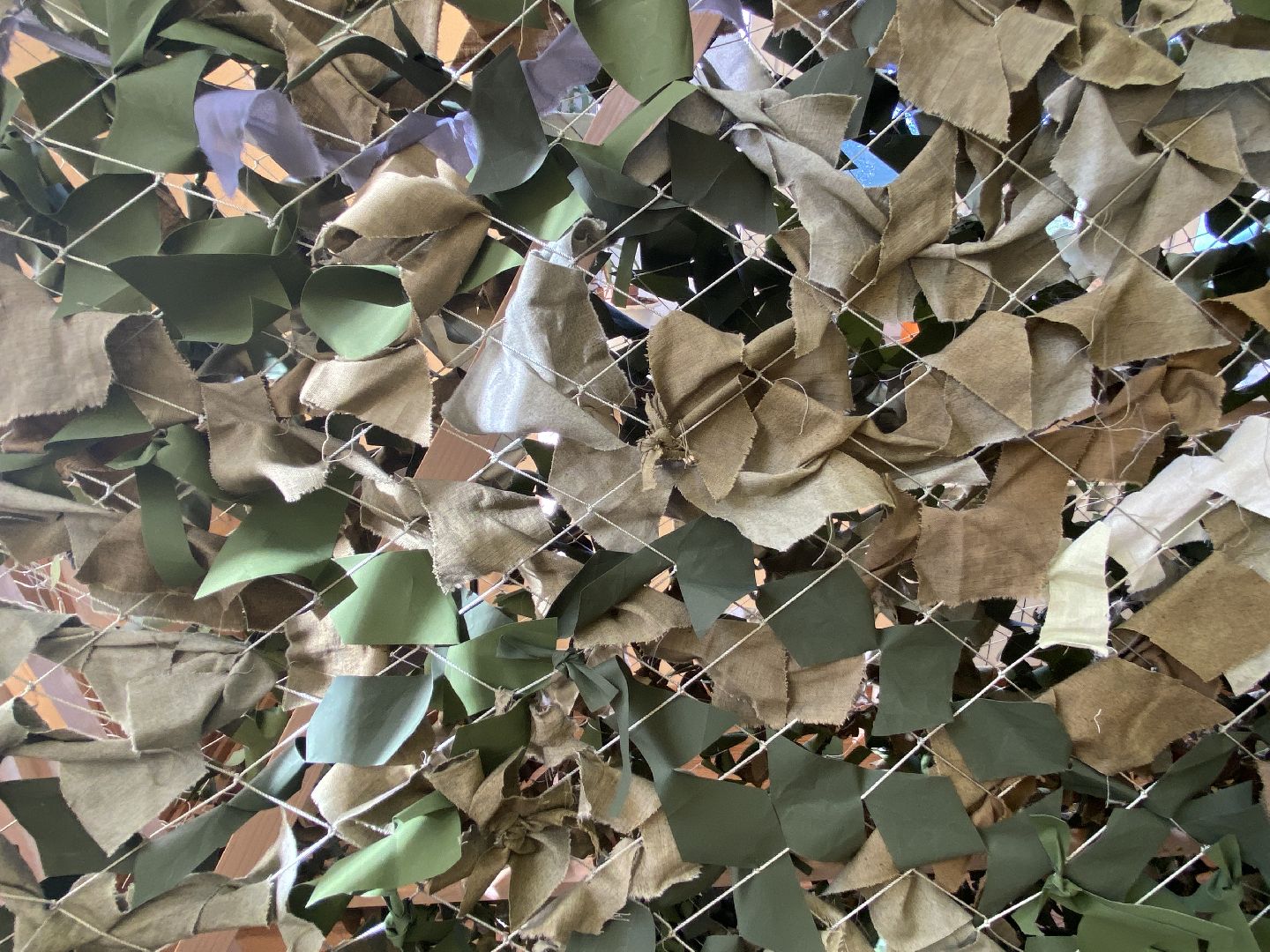 активное долголетие, сво,