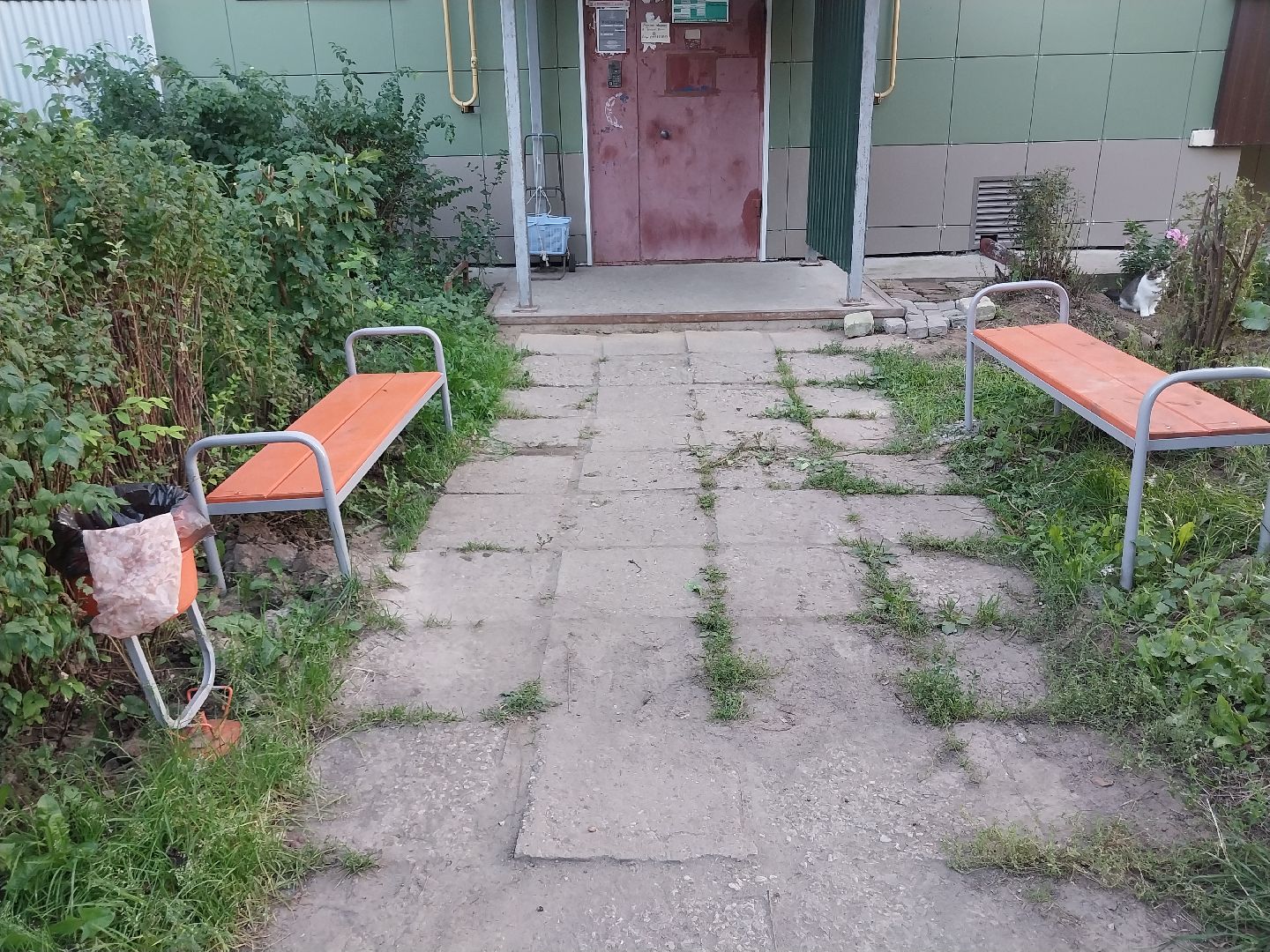 Коломна, благоустройство, лавочки, урны, двор