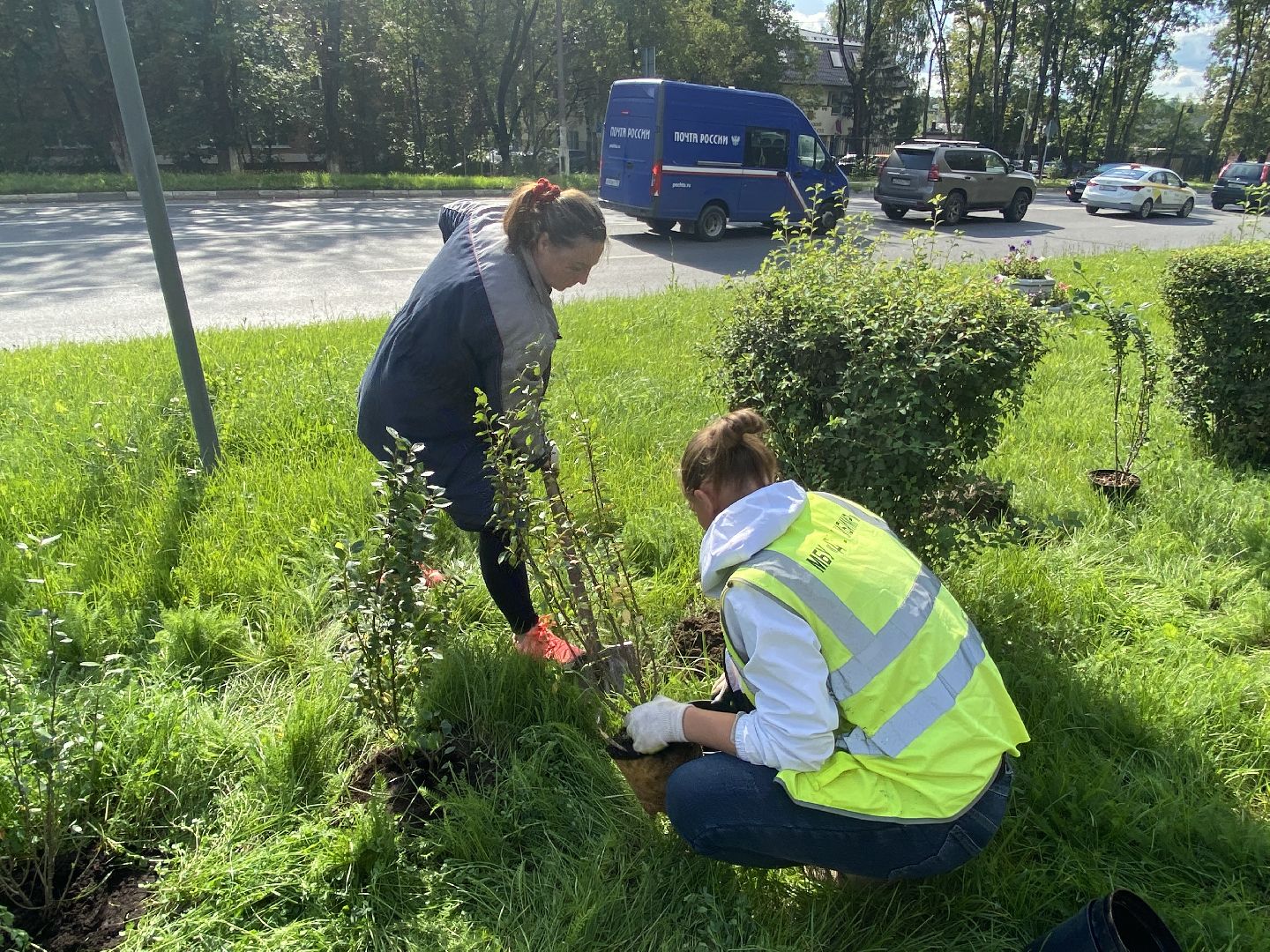 цветники, благоустройство, истра,