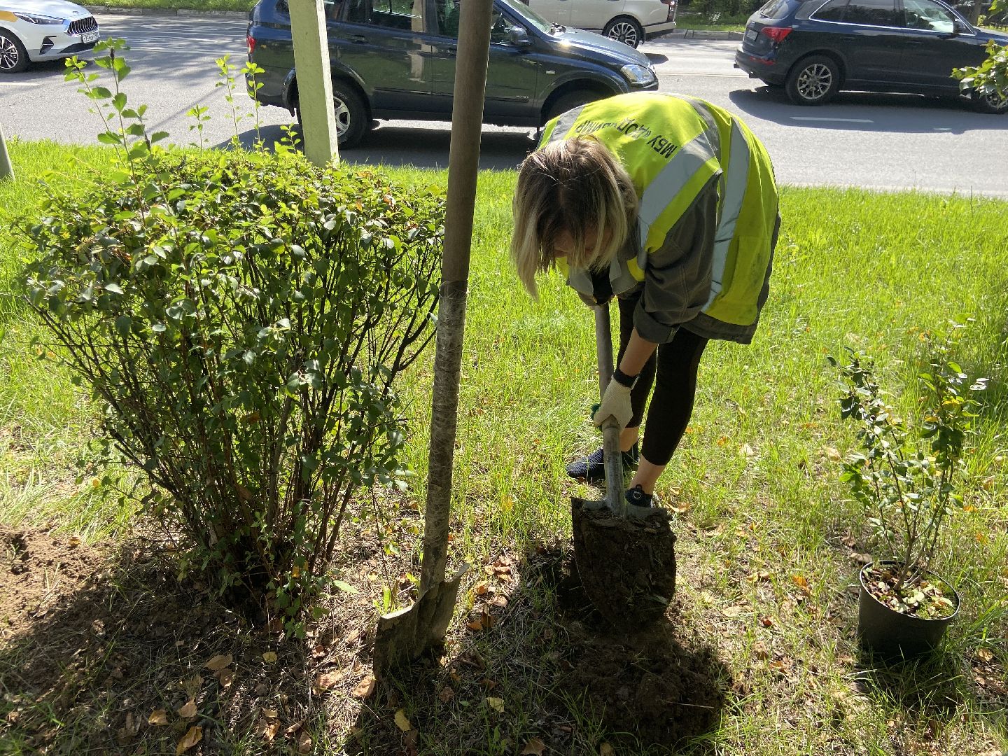 цветники, благоустройство, истра,