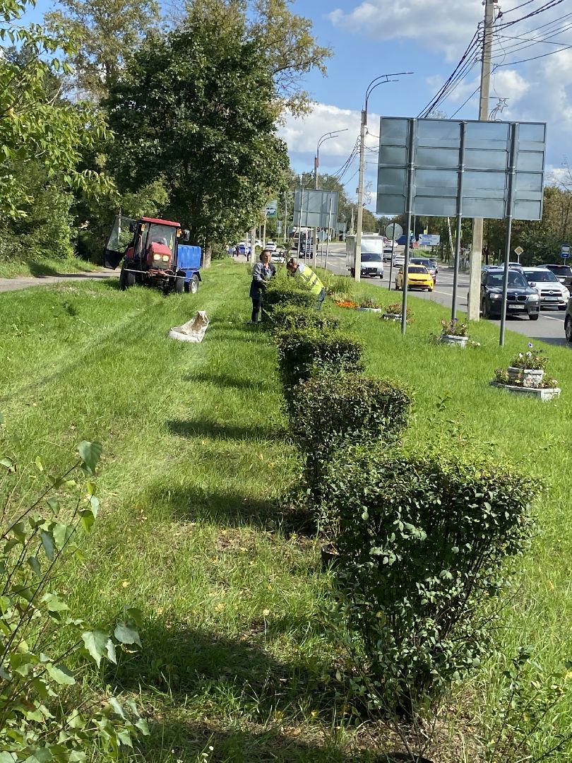 цветники, благоустройство, истра,