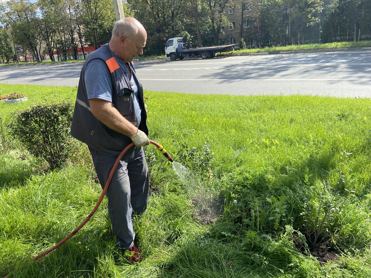 цветники, благоустройство, истра,