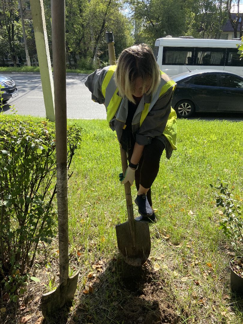 цветники, благоустройство, истра,