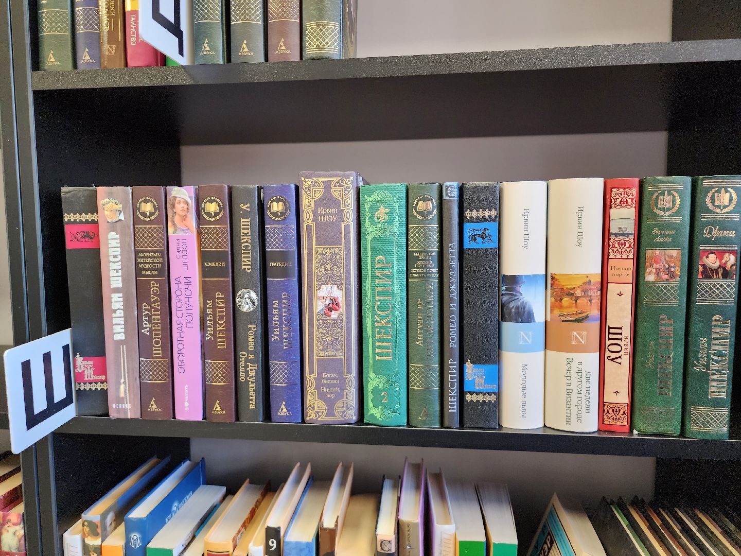 библиотека; досуг; чтение; зелёные аллеи; видное