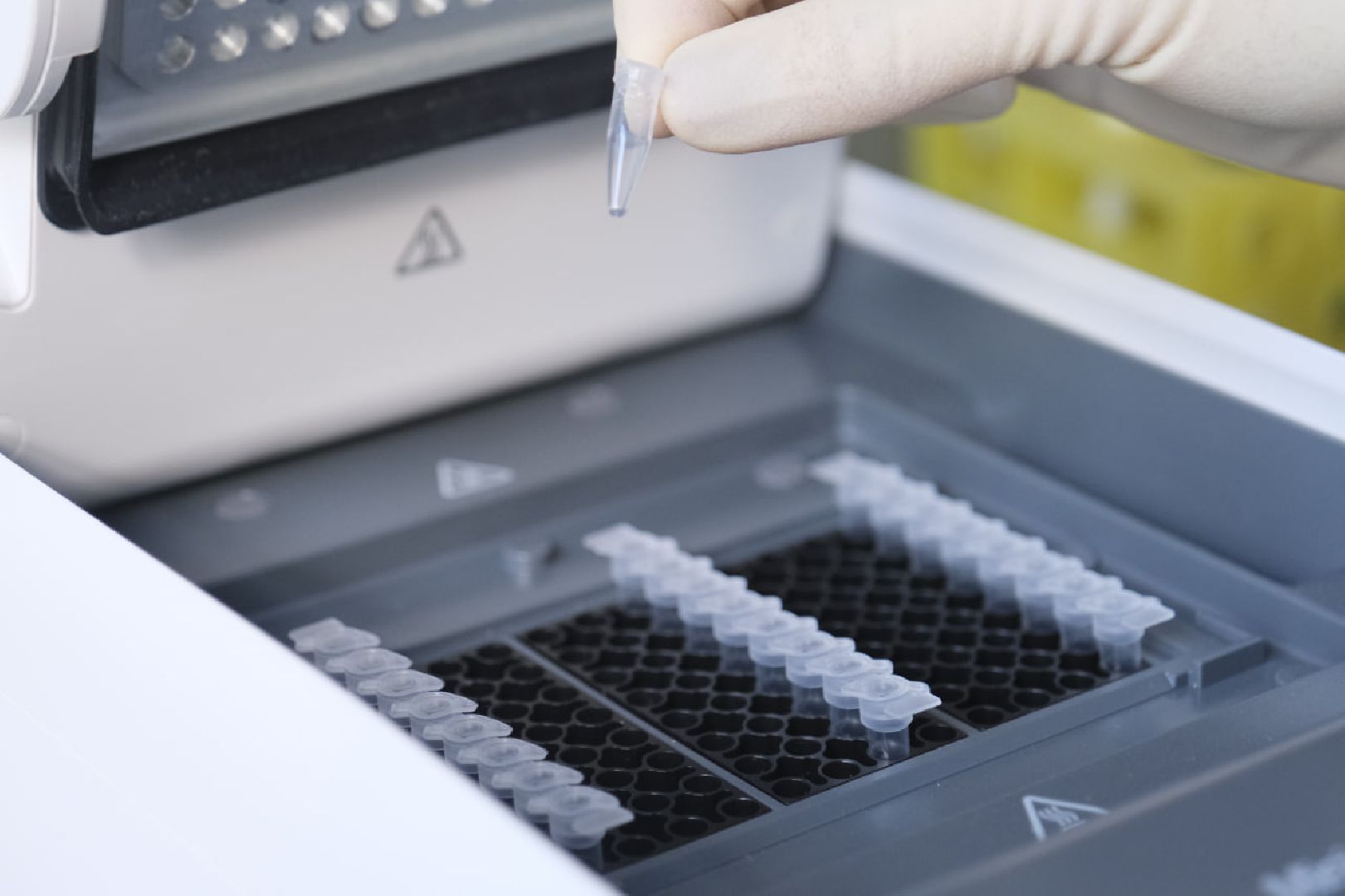 Пущино, медицина, супербактерии