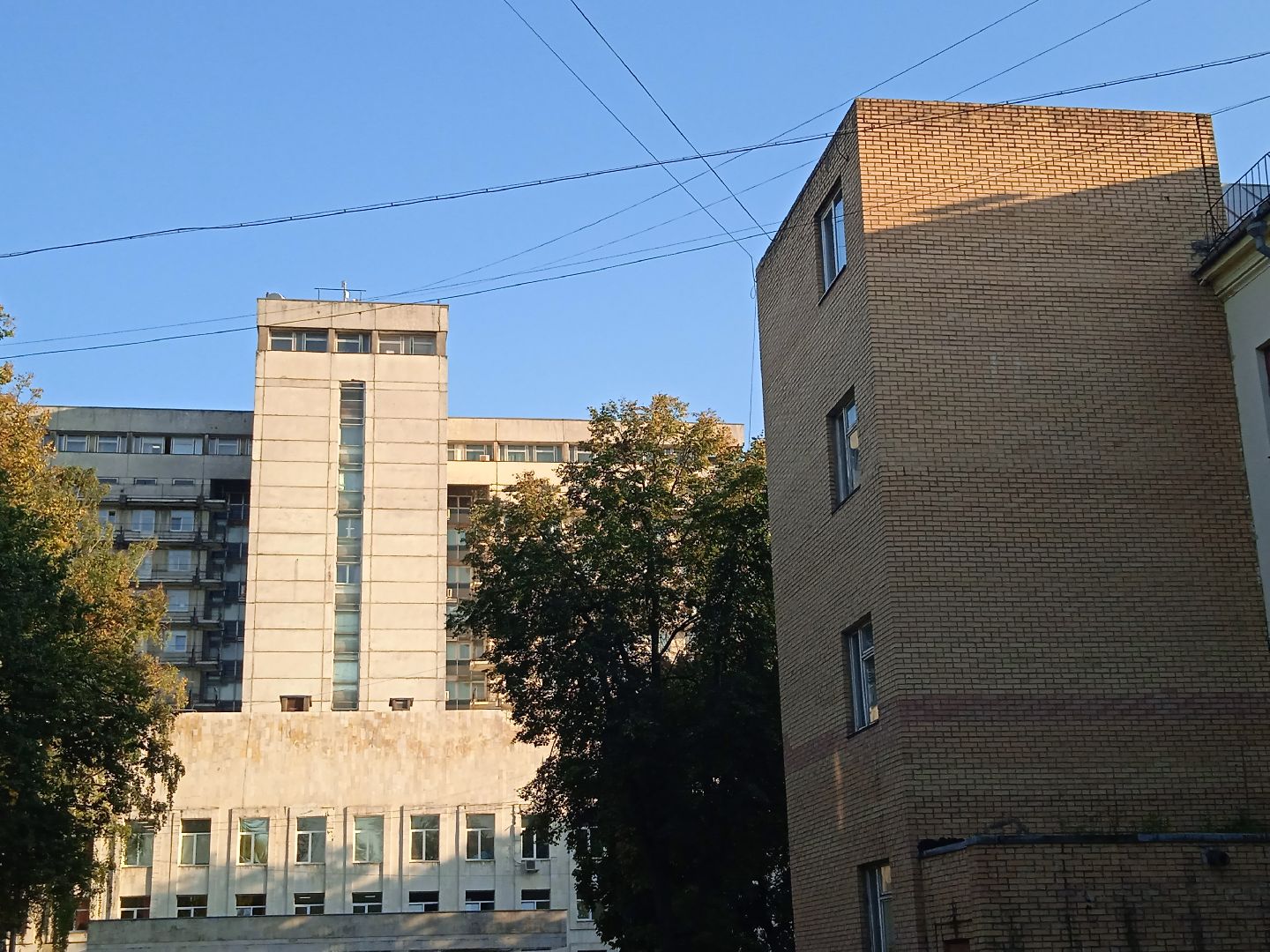 справки, онлайн, интернет, формы, документы