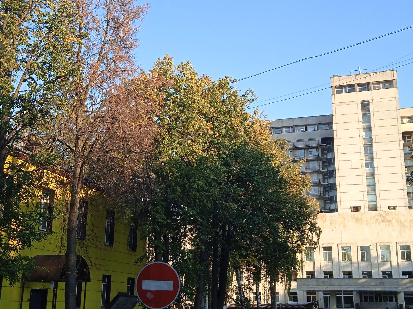 справки, онлайн, интернет, формы, документы