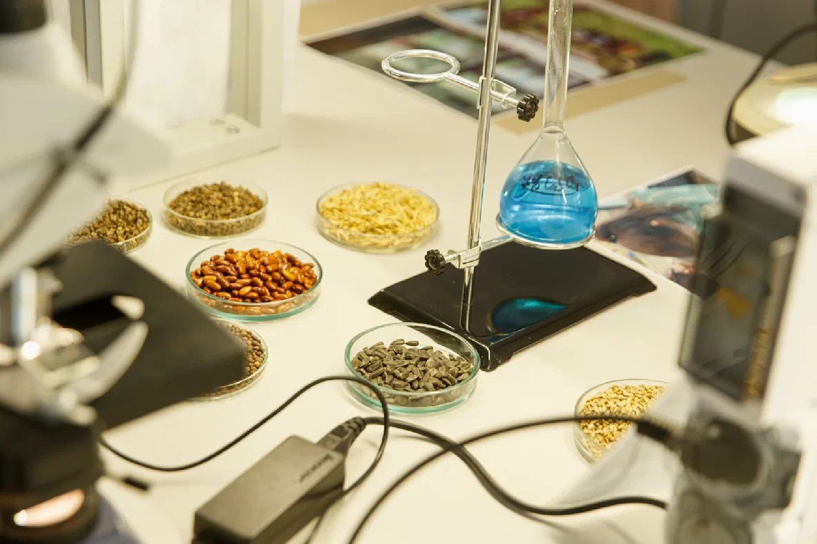 Образование, ГГТУ, университет, вуз, лаборатории, БПЛА, Орехово-Зуево