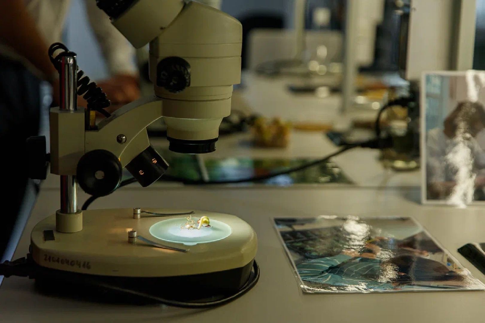 Образование, ГГТУ, университет, вуз, лаборатории, БПЛА, Орехово-Зуево