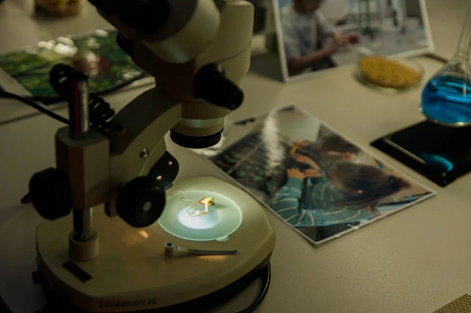 Образование, ГГТУ, университет, вуз, лаборатории, БПЛА, Орехово-Зуево