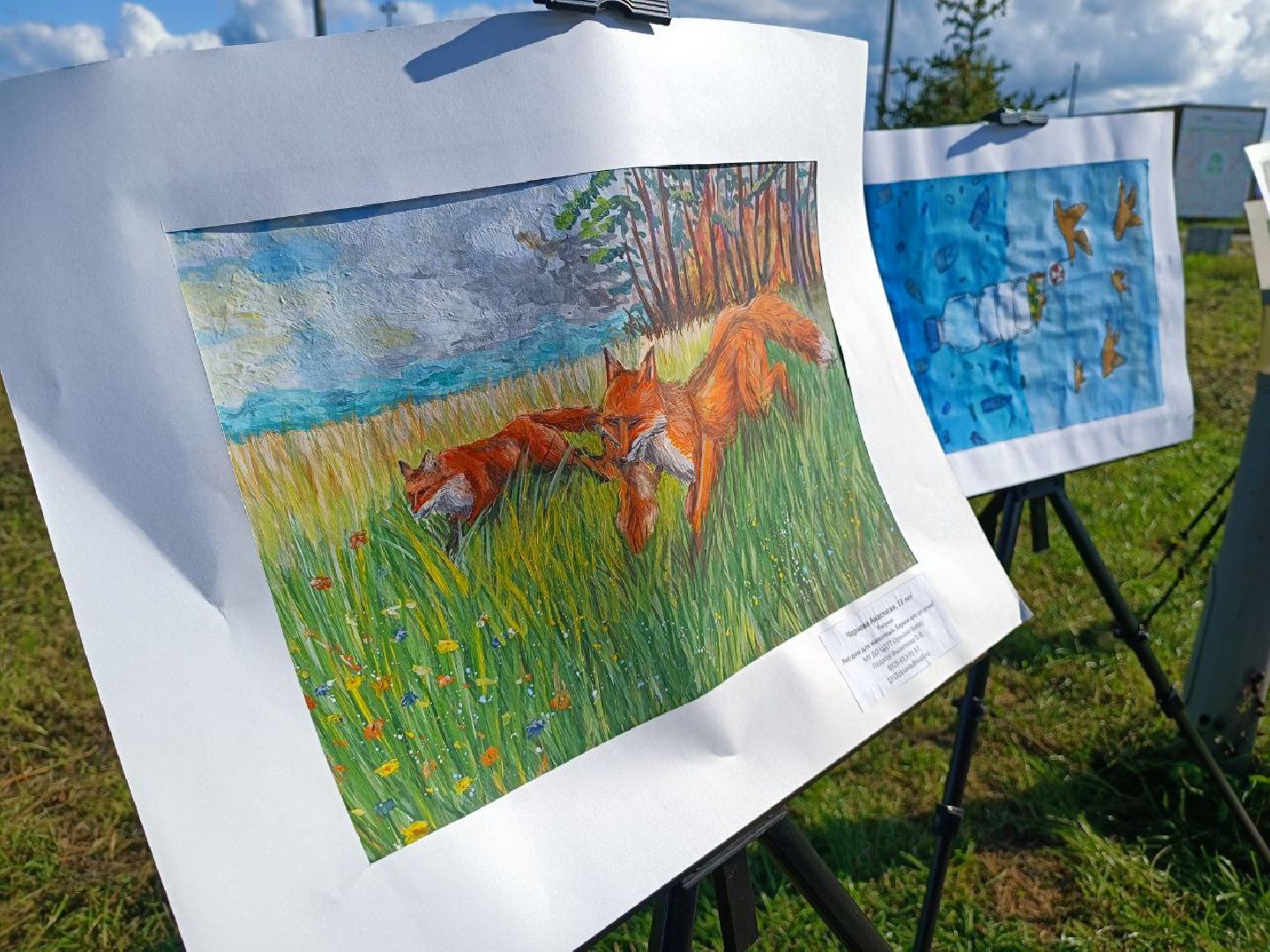 Можайск, Можайский городской округ, Подмосковье, ЭкоЛогичноеПодмосковье, экология, фестиваль, экоактивисты, природа