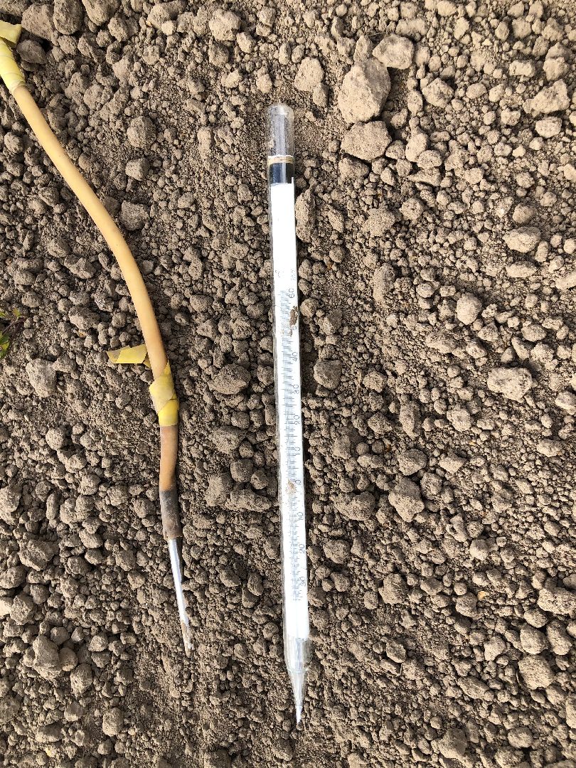 коломна, погода