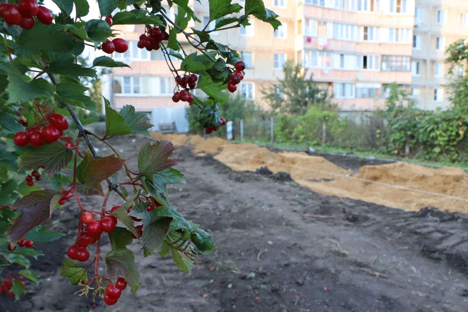 Серебряные Пруды, народная тропа, благоустройсто