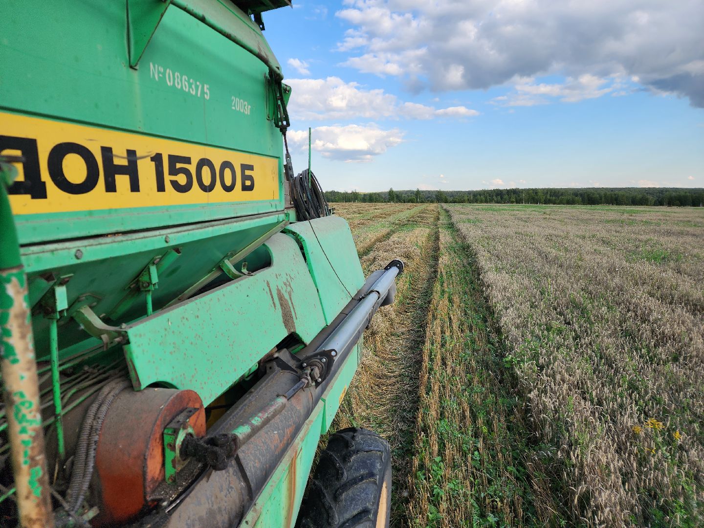 Сьтупино, сельское хозяйство, безглютеновая пшеница