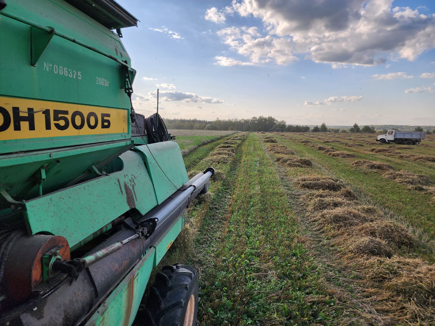Сьтупино, сельское хозяйство, безглютеновая пшеница