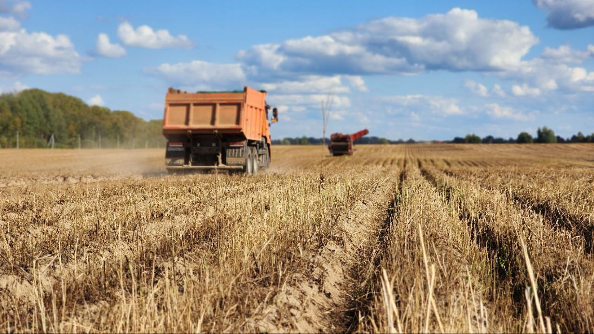 Дмитров, Агрофирма Бунятино, Агрохолдинг Дмитровские овощи