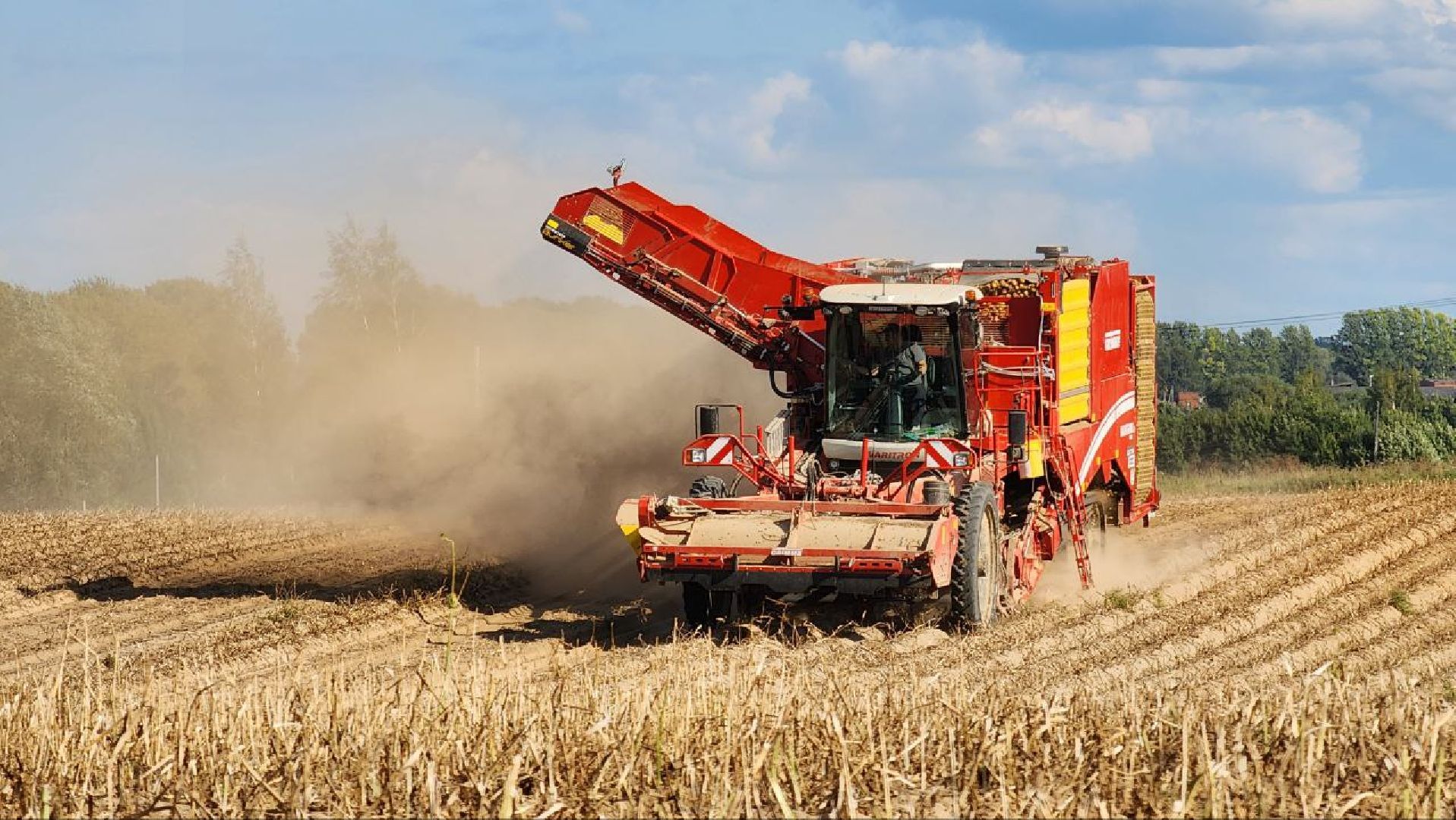 Дмитров, Агрофирма Бунятино, Агрохолдинг Дмитровские овощи