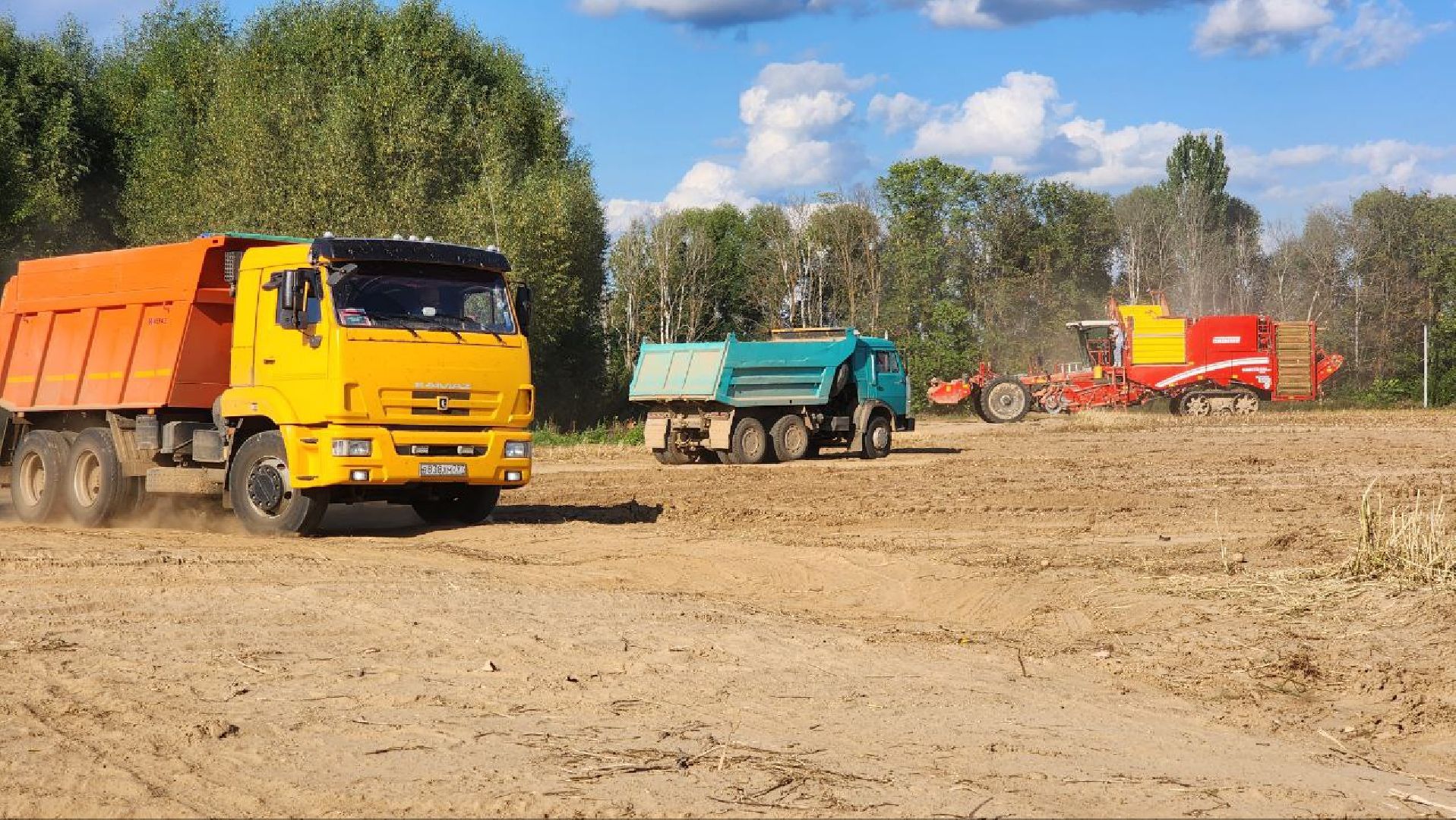 Дмитров, Агрофирма Бунятино, Агрохолдинг Дмитровские овощи