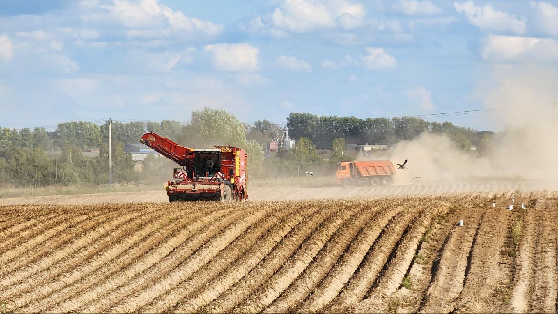 Дмитров, Агрофирма Бунятино, Агрохолдинг Дмитровские овощи