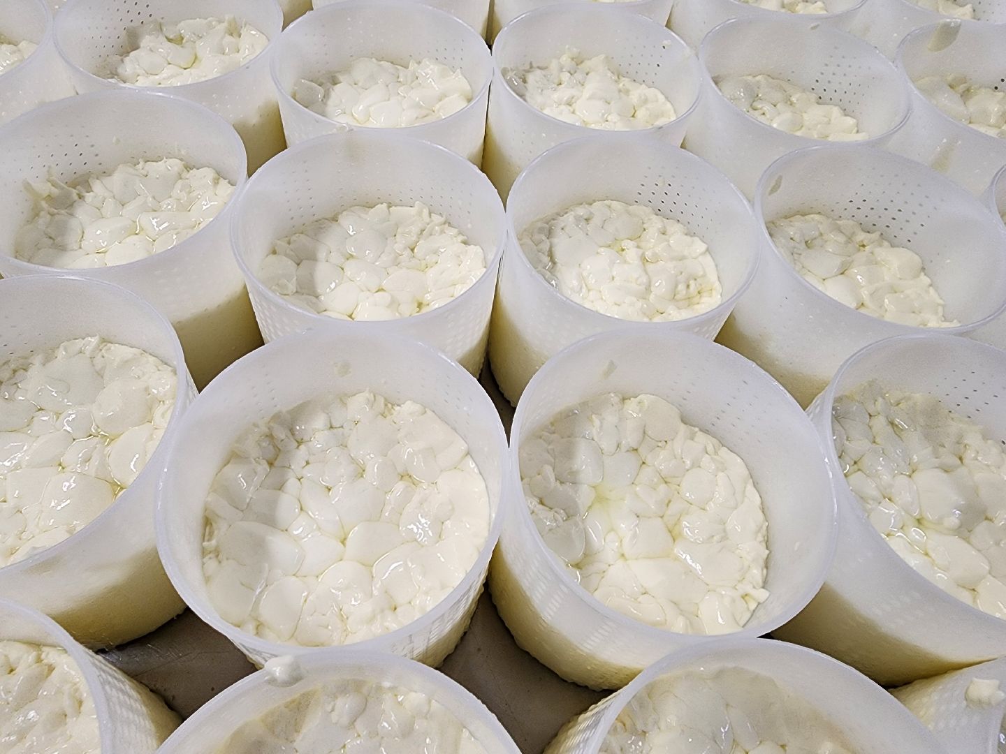 Подольск, экономика, сыры премиум-класса, натуральный продукт, семейный бизнес