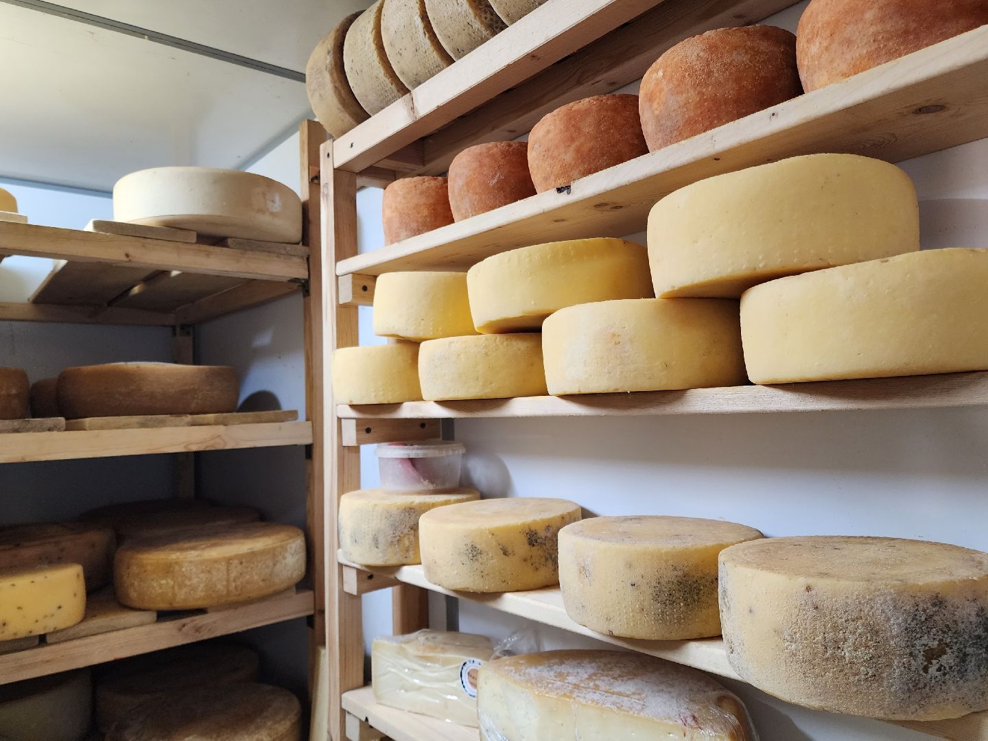 Подольск, экономика, сыры премиум-класса, натуральный продукт, семейный бизнес