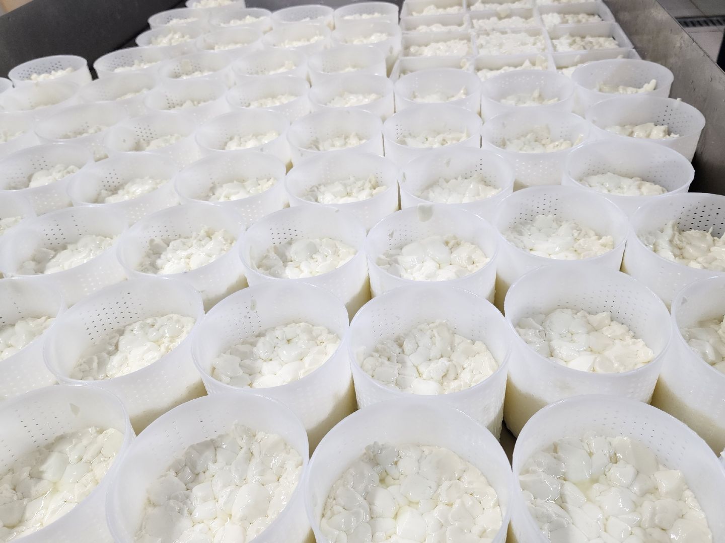 Подольск, экономика, сыры премиум-класса, натуральный продукт, семейный бизнес