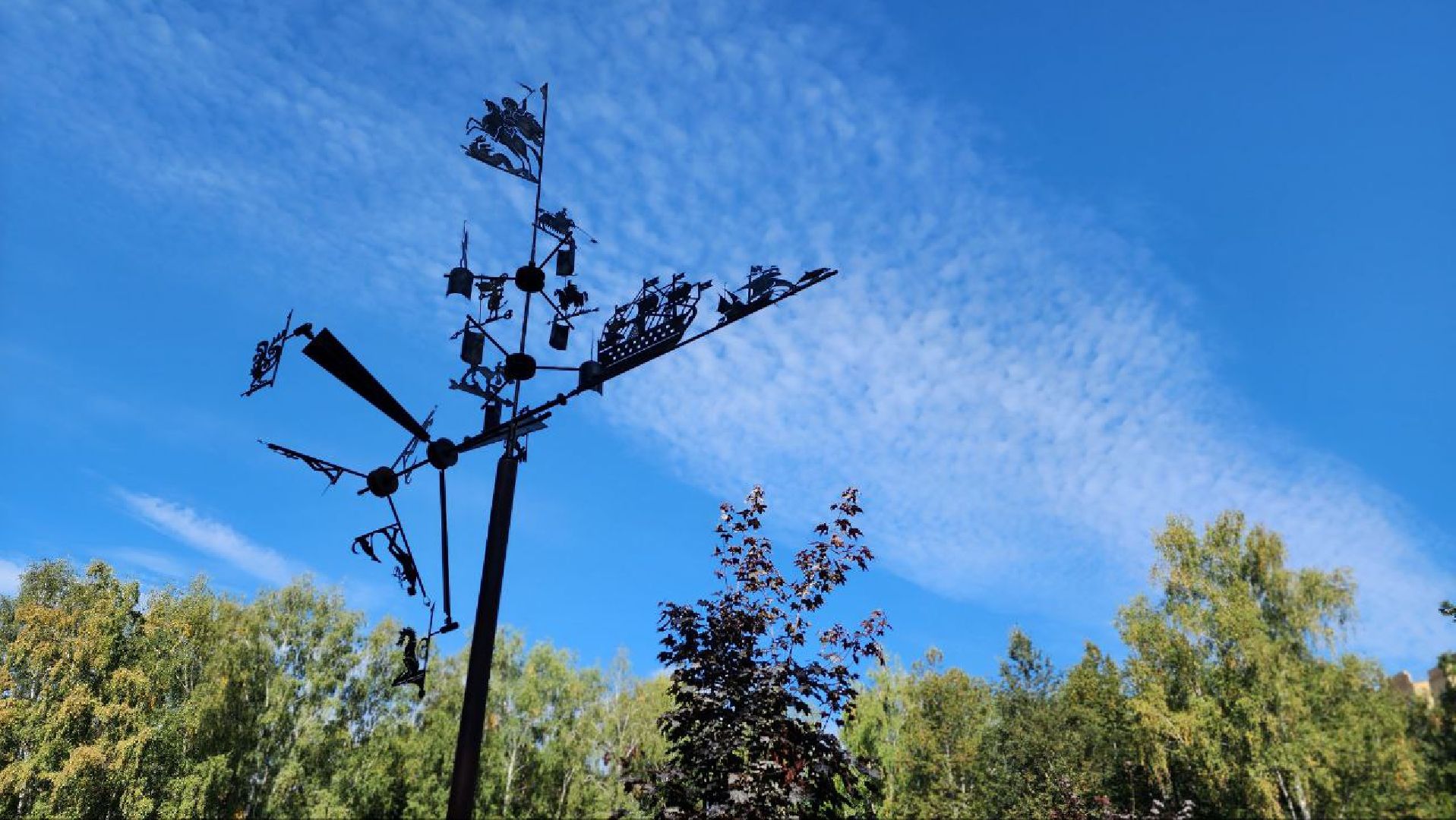 Дмитров, Парк Березовая роща, Минблаго