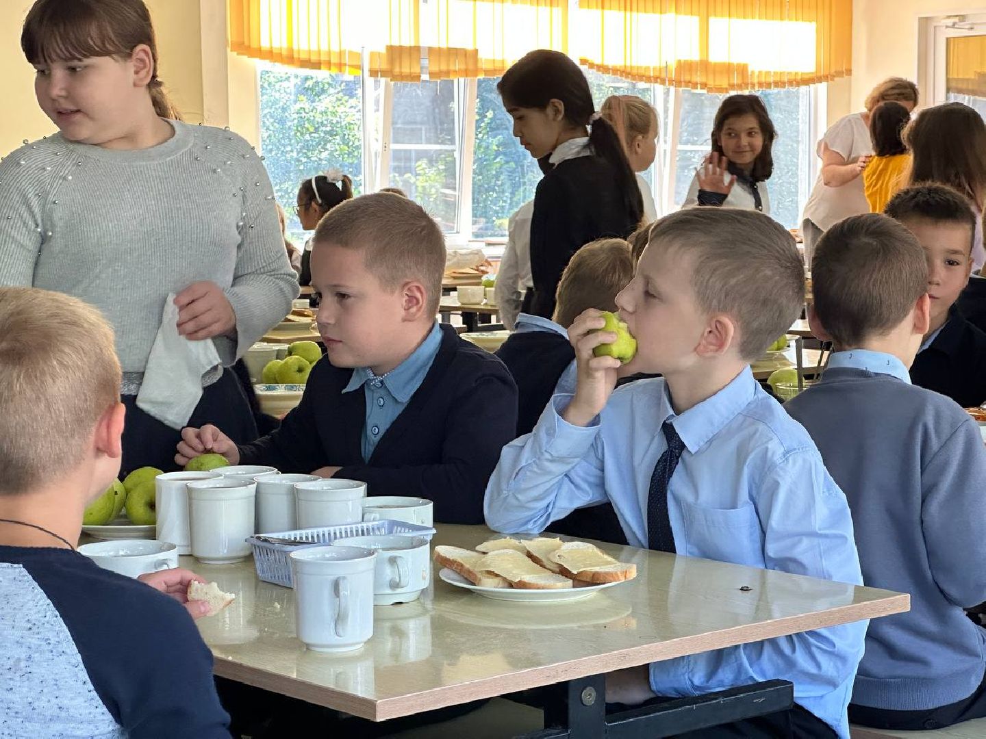 Реутов, образование, школы. столовая. еда, меню новые блюда