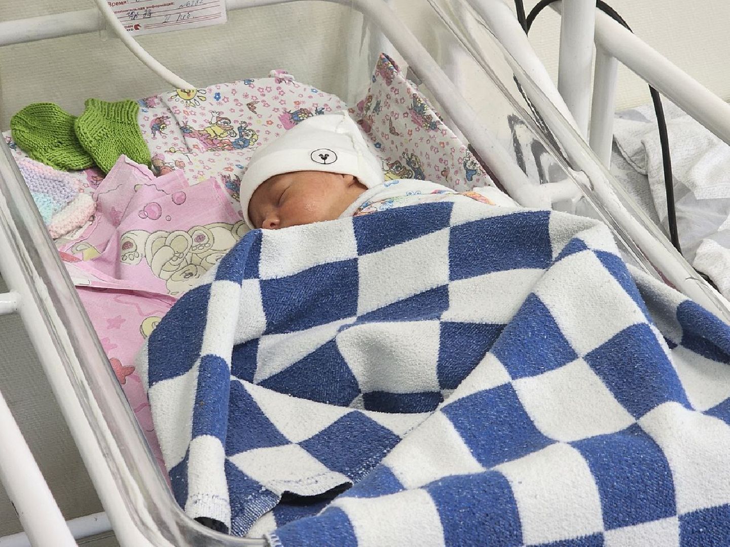 дети; двойня; рождение; многодетная семья; сюрприз